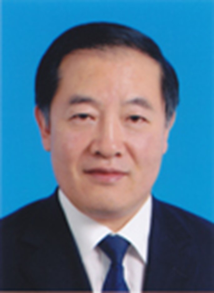 Photo of Maia Chankseliani, PhD